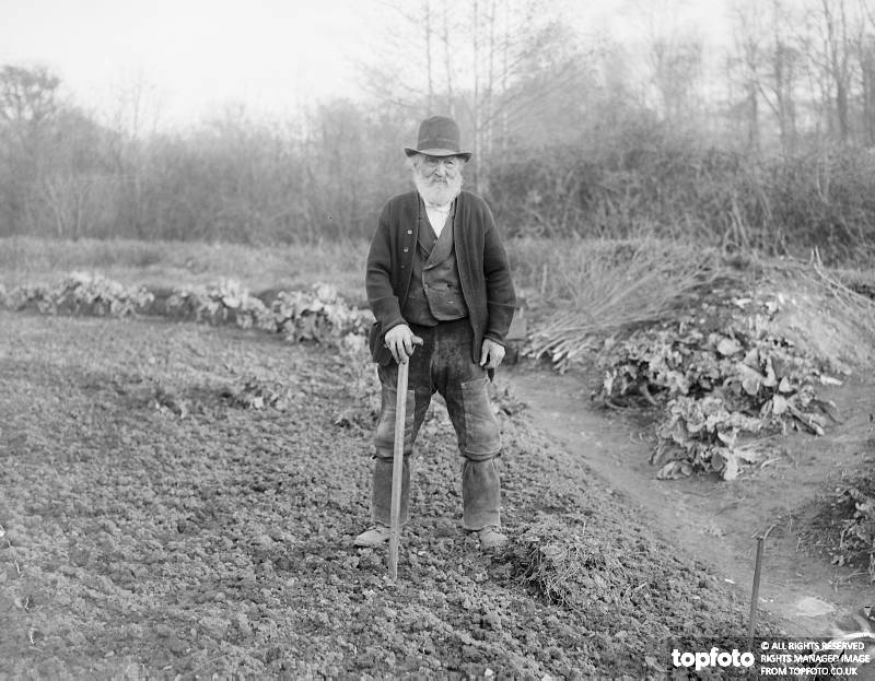 An Example to Allotment Workers
